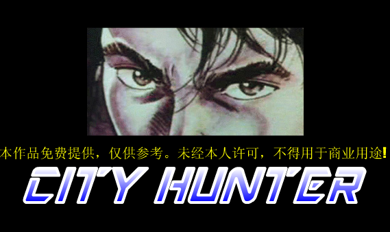 City Hunter 2