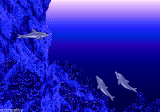 Ecco Vortex