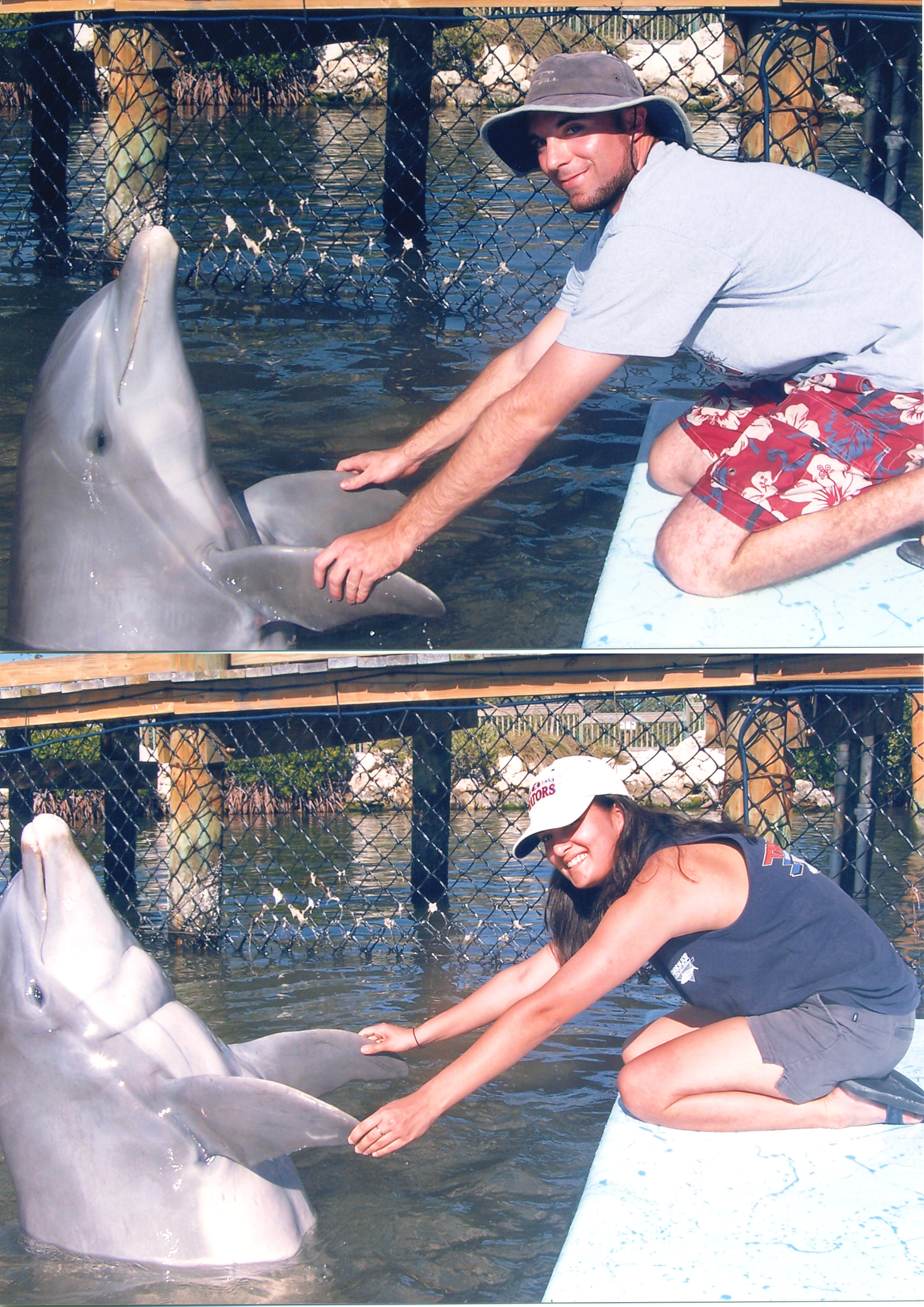 Zack and Danielle Dolphins