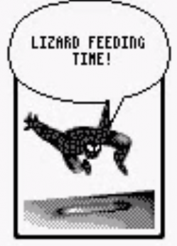 Lizard Feeding Time