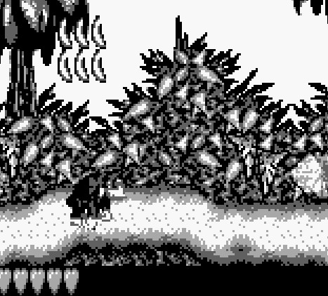 Donkey Kong Land