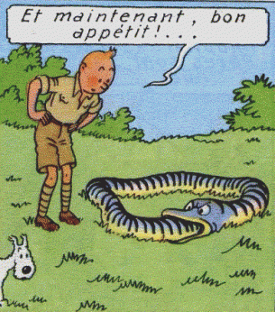 Tintin Snake