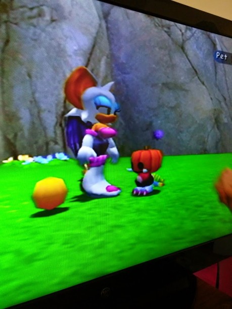 I know I mentioned Sonic earlier, but we spent most of our time playing as Rouge.