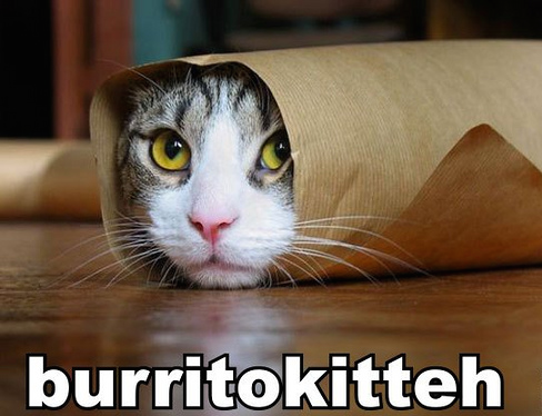 Burrito